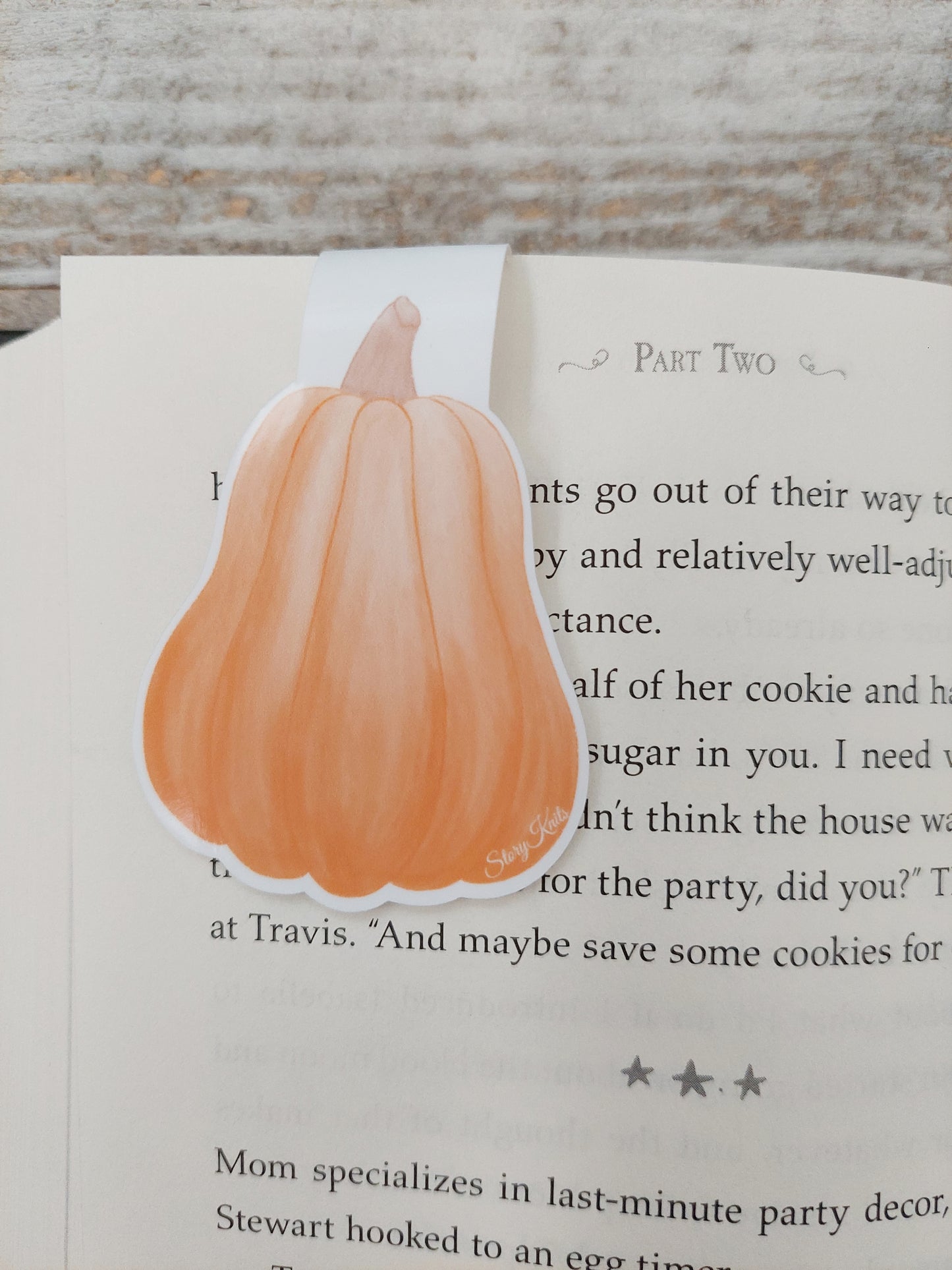 Burnt Orange Pumpkin Magnetic Bookmark