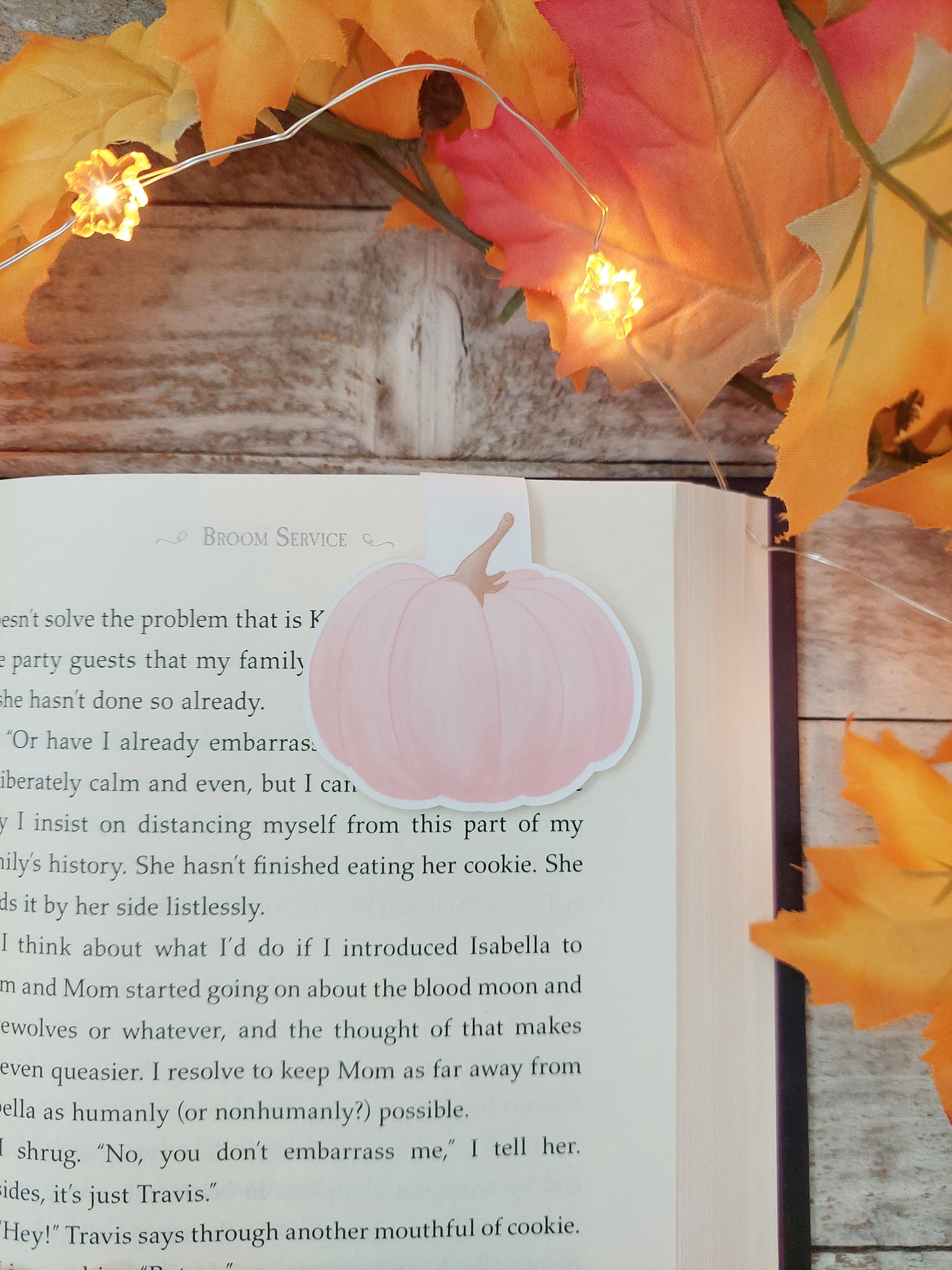 Pink Pumpkin Magnetic Bookmark