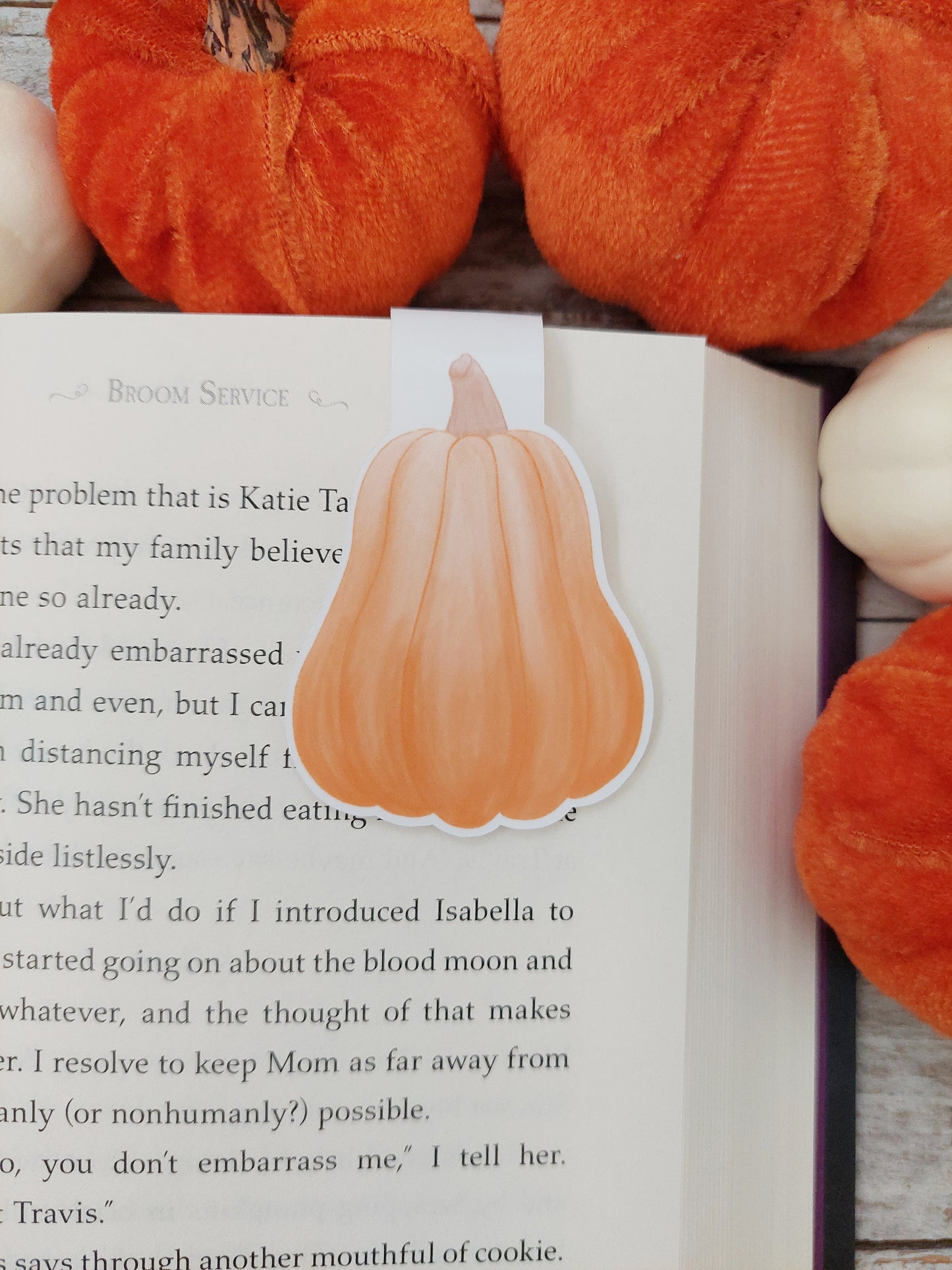 Burnt Orange Pumpkin Magnetic Bookmark