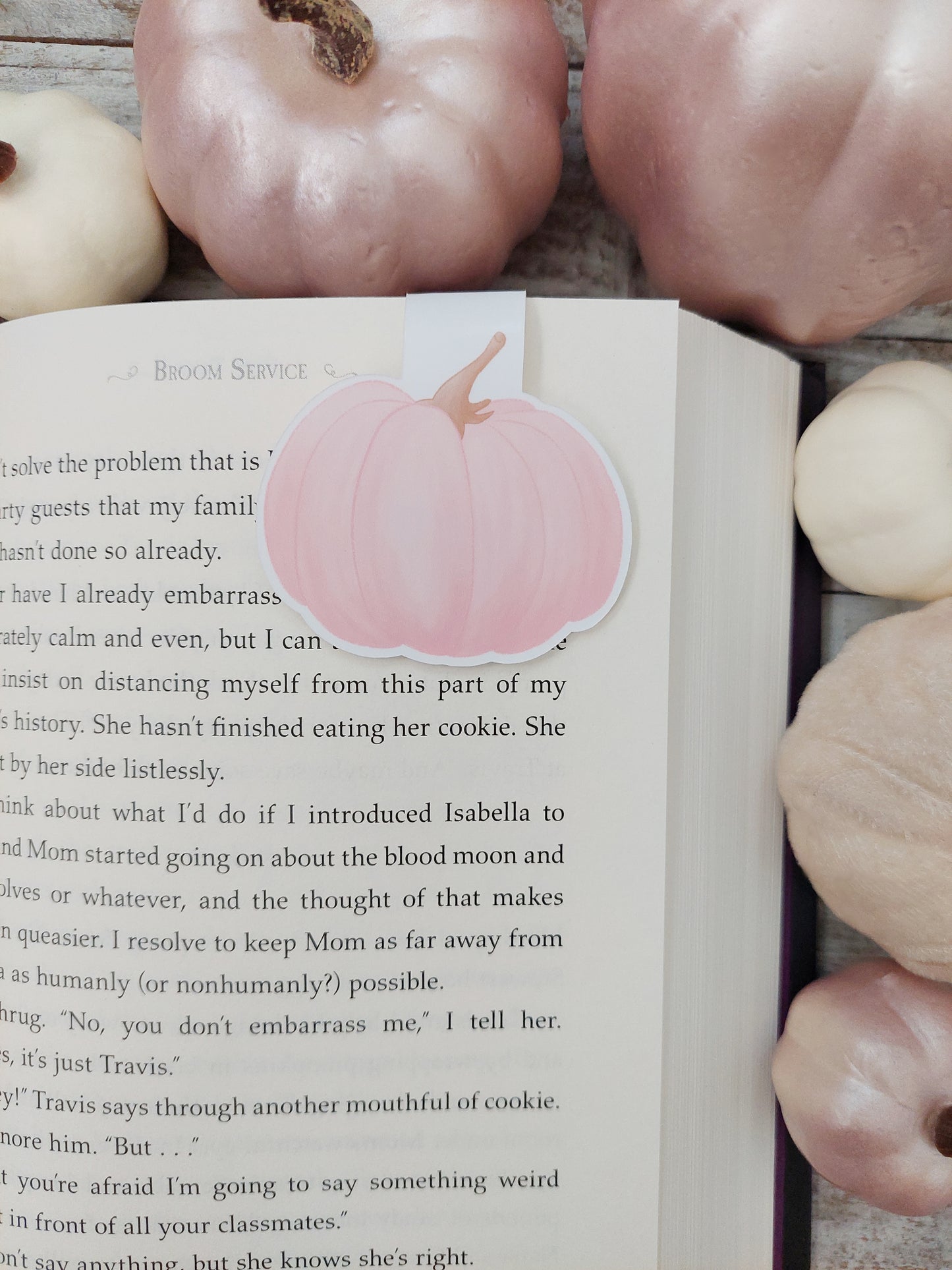 Pink Pumpkin Magnetic Bookmark