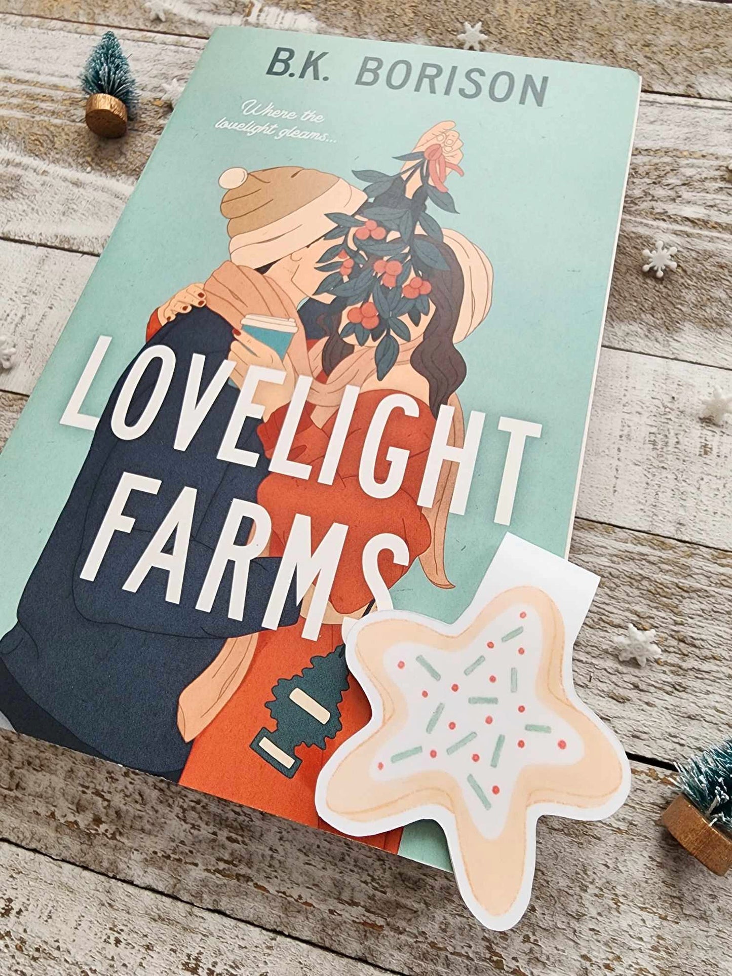 Cookie Magnetic Bookmark